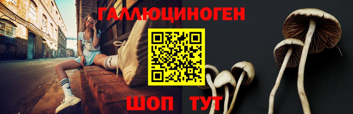 Псилоцибиновые грибы ЛСД  Вход с VPN  Элиста  Псилоцибиновые грибы прущие грибы 